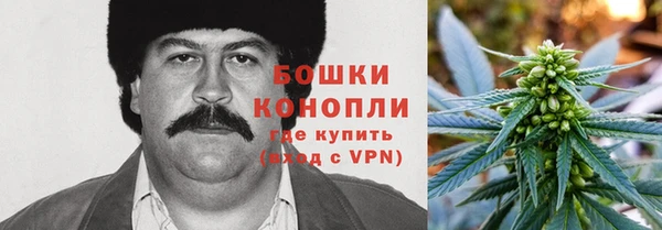 прущие крисы Бикин