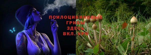 хмурый Абдулино