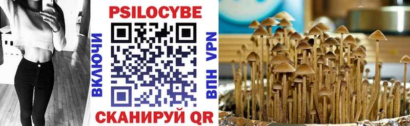 Галлюциногенные грибы Psilocybine cubensis Гусь-Хрустальный